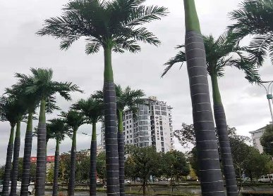 室外仿真树