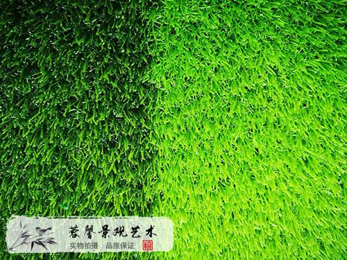 仿真草坪多少钱一平