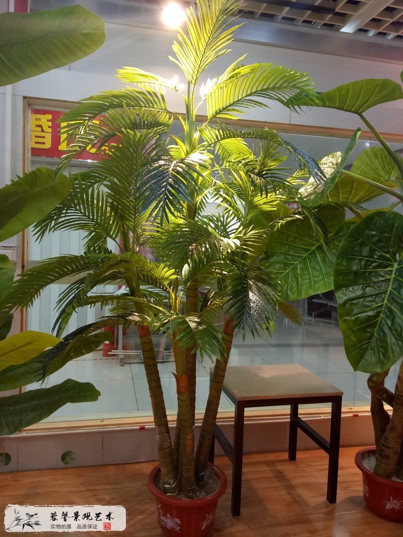 大型仿真植物批发