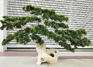 迎客松造型