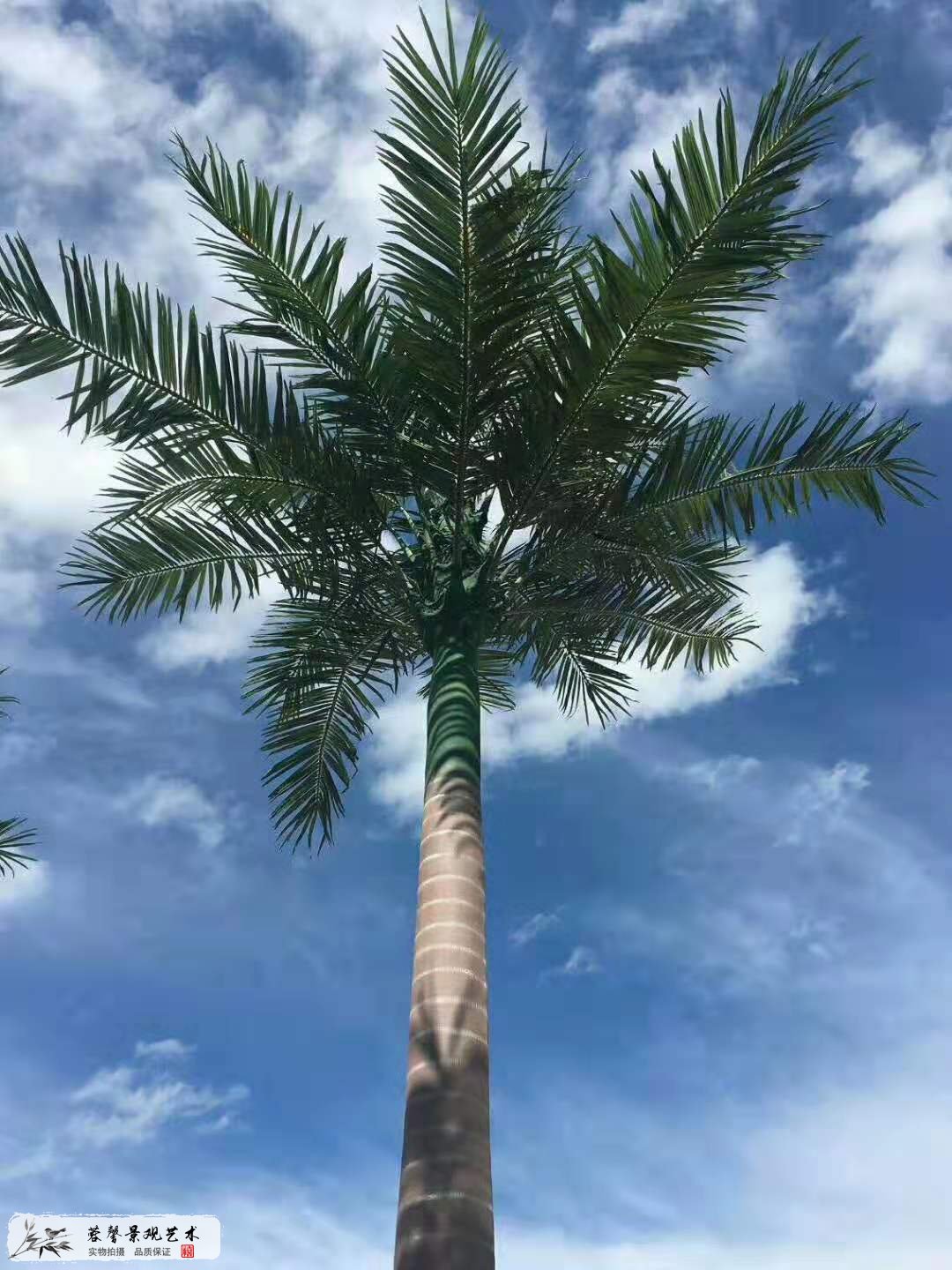 深圳哪里有仿真树卖