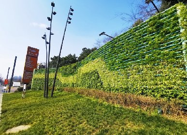 室内活体绿植墙