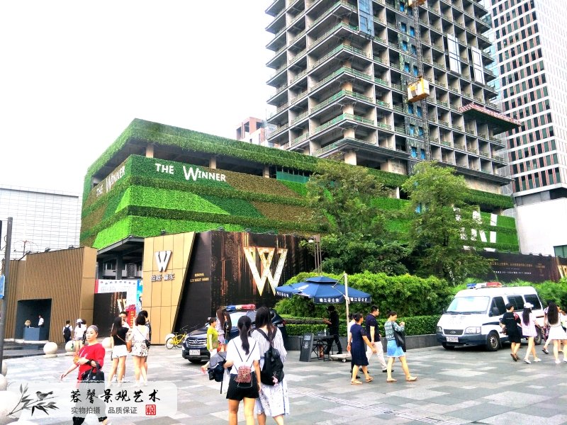 仿真植物墙厂家