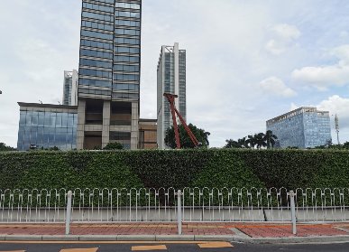 市政街道绿化设计