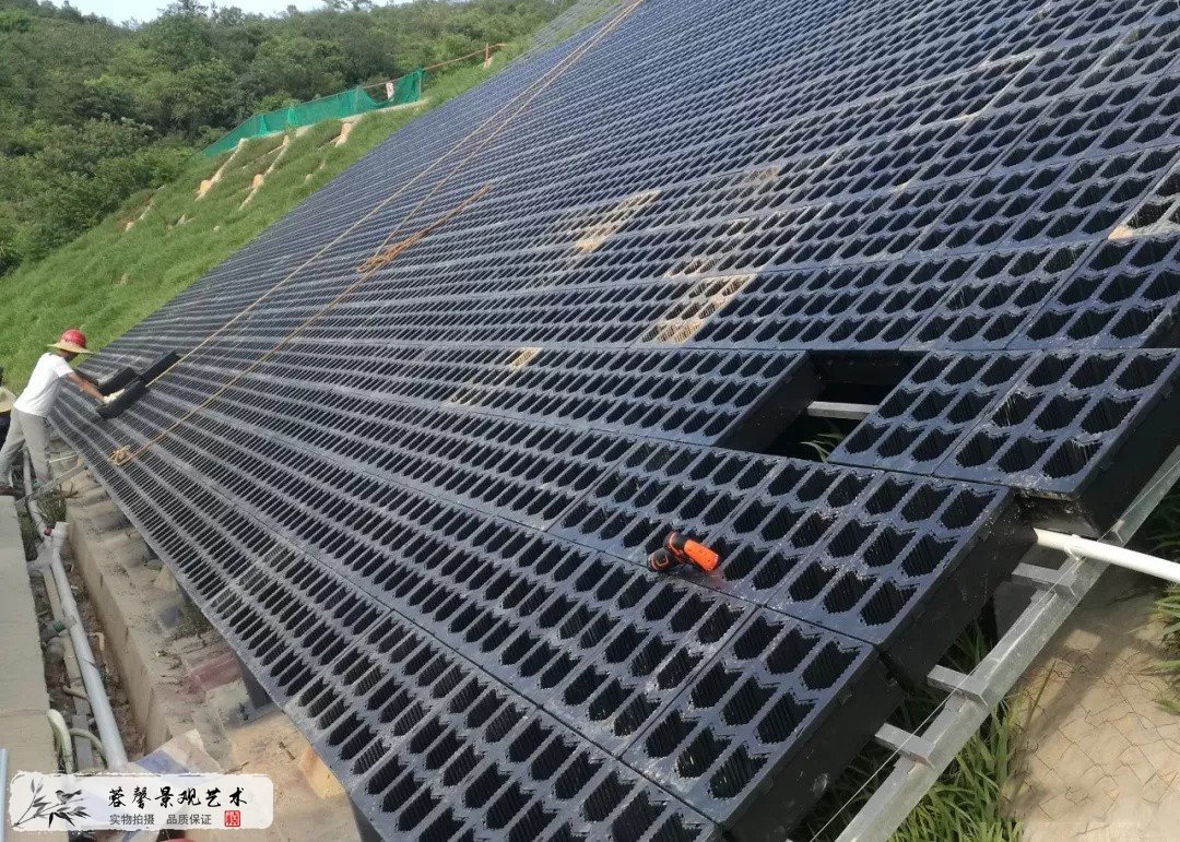 街道绿化案例