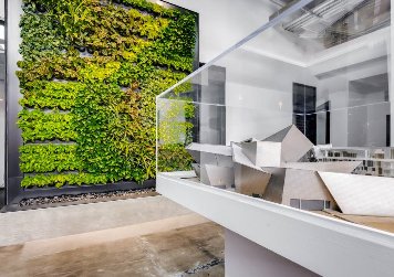 室内植物墙设计