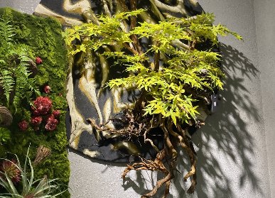 中式枯树枝花艺