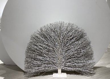 后现代室内墙壁花艺