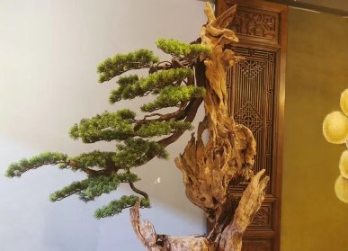 枯树树干仿真迎客松
