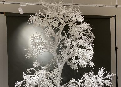 白龙骨仿真迎客松