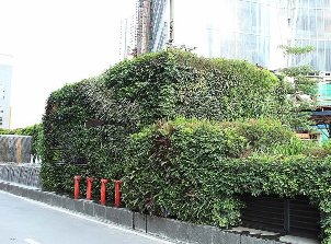 银行垂直绿化景观