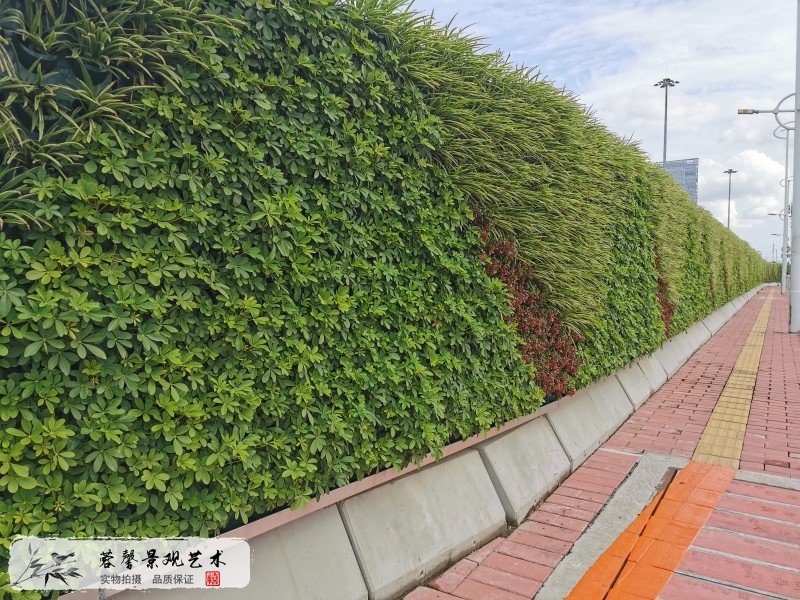 市政路绿化