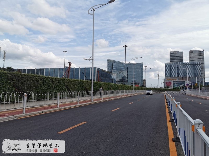 市政路绿化