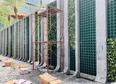 室外植物墙