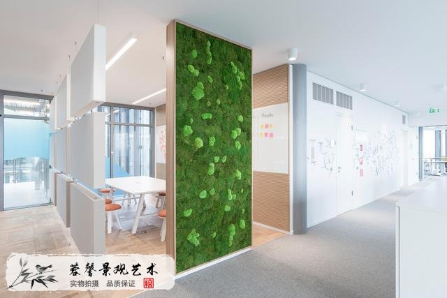 苔藓墙