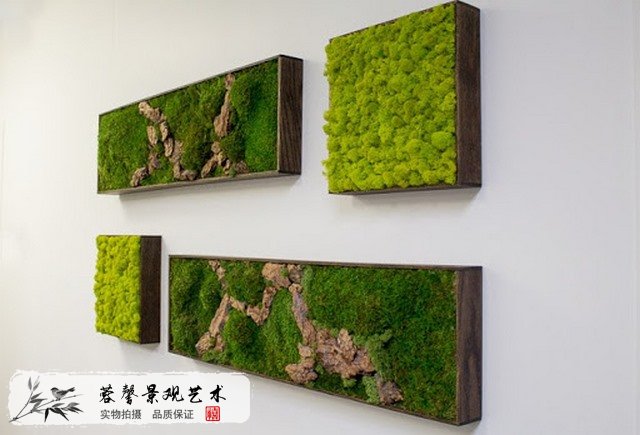 苔藓墙