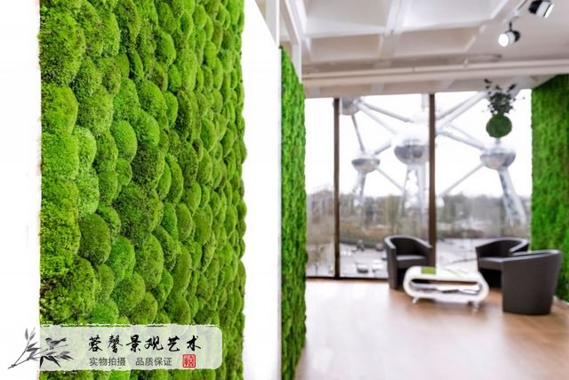 苔藓墙