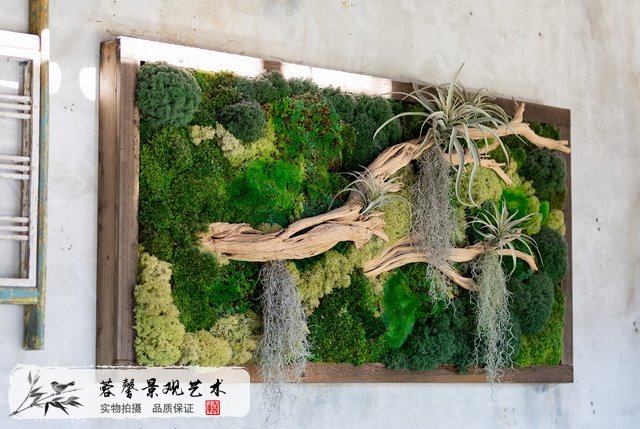 苔藓墙