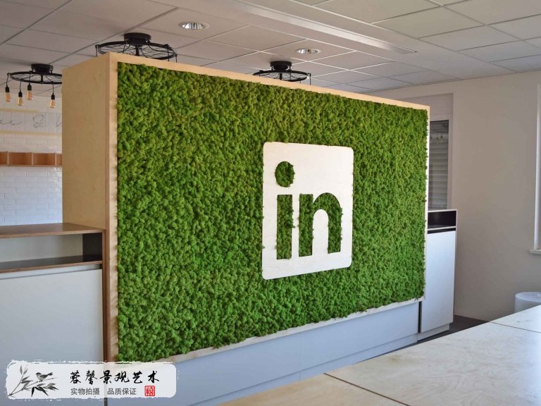 苔藓墙