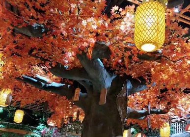 室内仿真红枫树