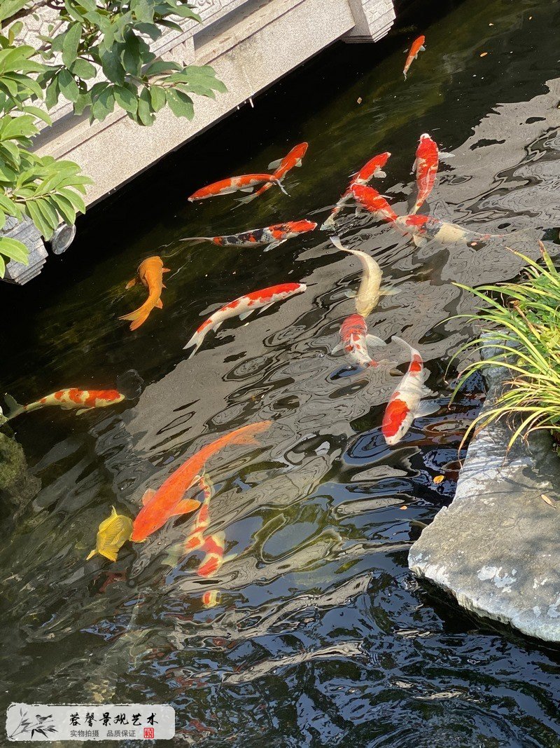 庭院园林造景