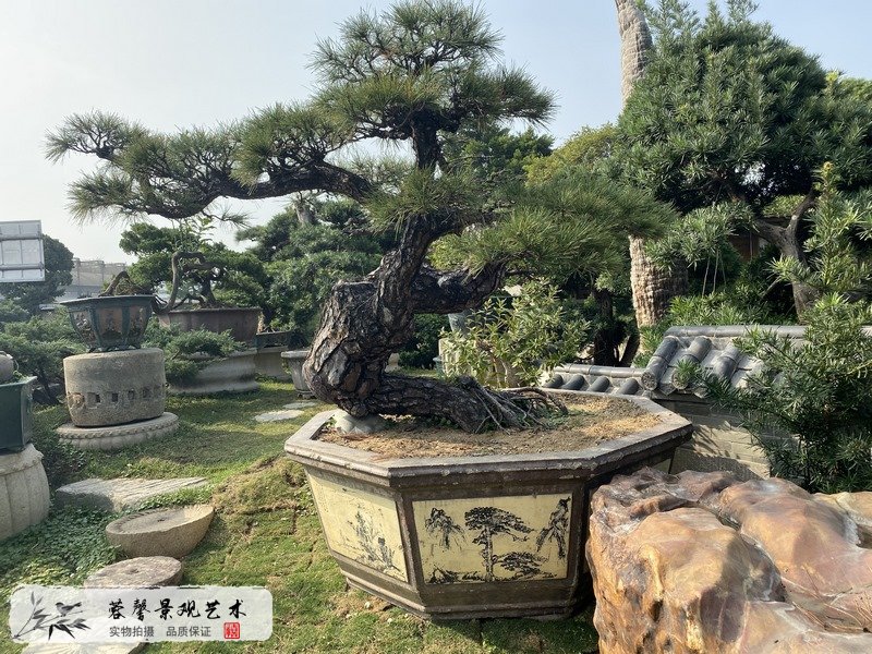 庭院园林造景