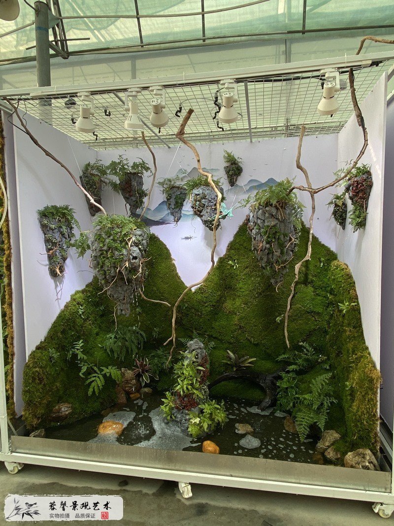 生态雨林微景观