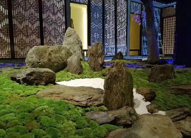 餐厅绿植装饰
