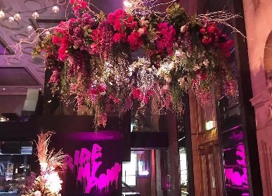 餐吧花艺软装