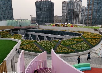 商业街花海