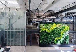 办公室植物墙