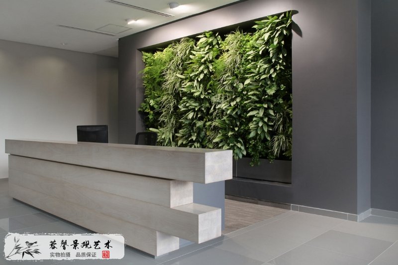 植物墙工程