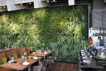 餐厅绿植墙