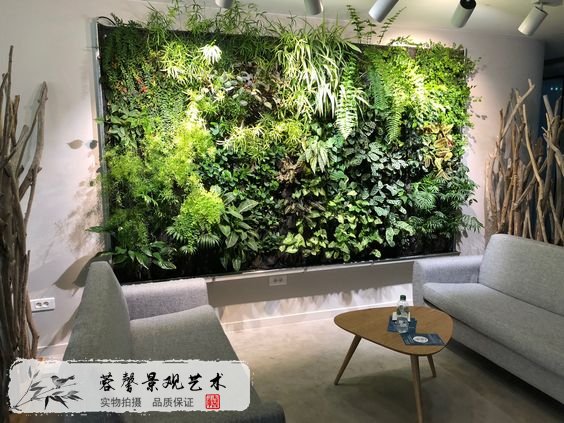 办公室植物墙
