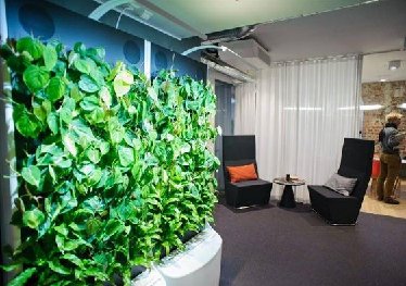 玄关植物墙