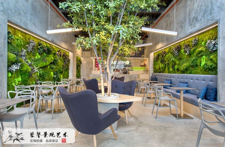 室内植物墙植物
