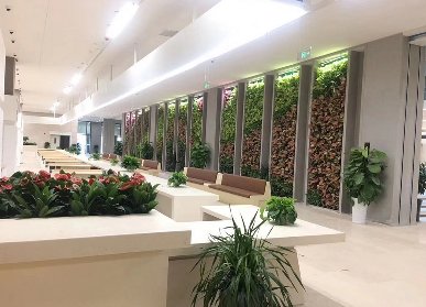 办公室植物背景墙