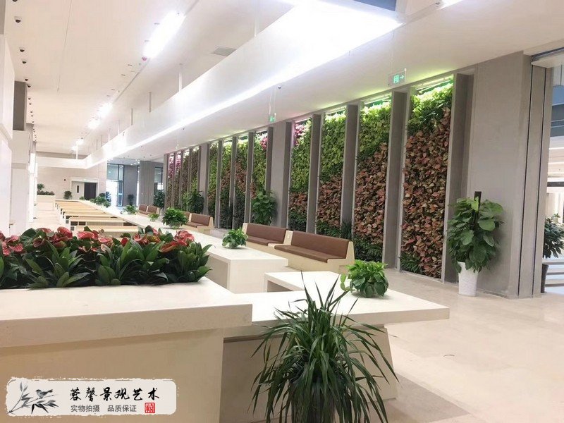 办公室植物背景墙