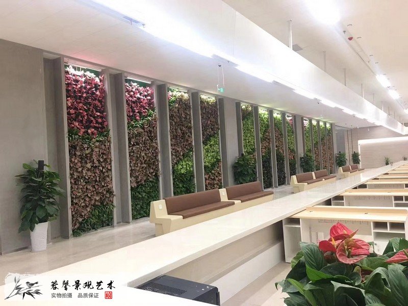 办公室植物背景墙