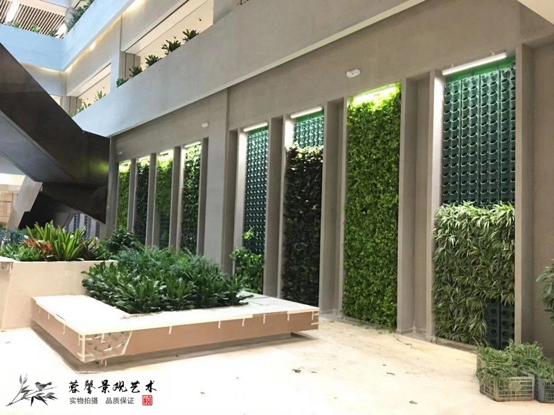 办公室植物背景墙
