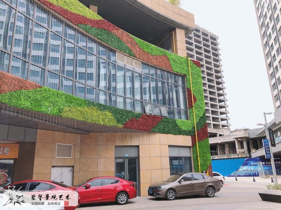 仿真植物墙打理