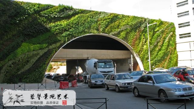 植物墙制作
