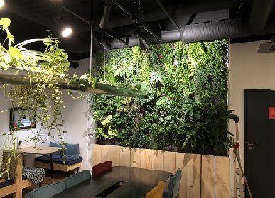 植物墙价格