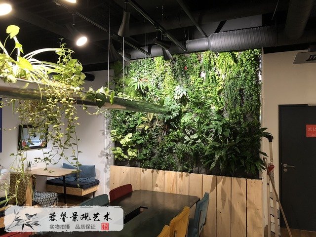 植物墙价格
