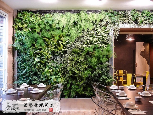 植物墙价格