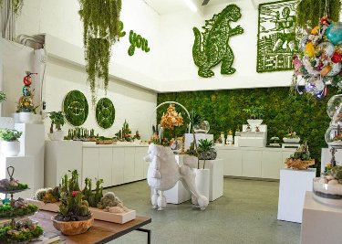 室内植物墙