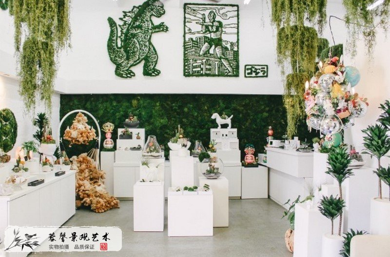 室内植物墙