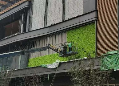 商业广场植物墙