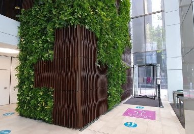 办公室植物墙