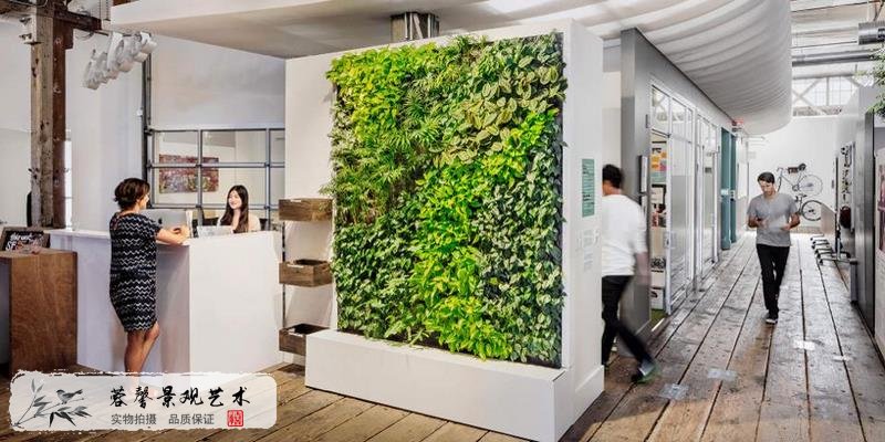 办公室植物墙
